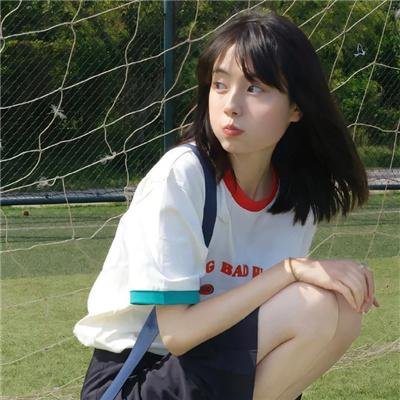 公猫